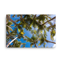 Load image into Gallery viewer, Marianas Trokon Niyuk View on the Hammock Canvas Print!! Sizes: 12×16, 16×20, 18×24, 24×36